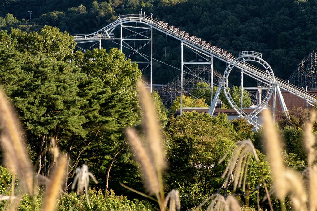 용인 에버랜드