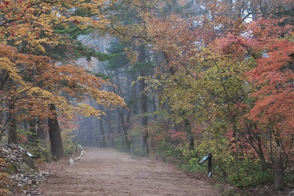 오대산