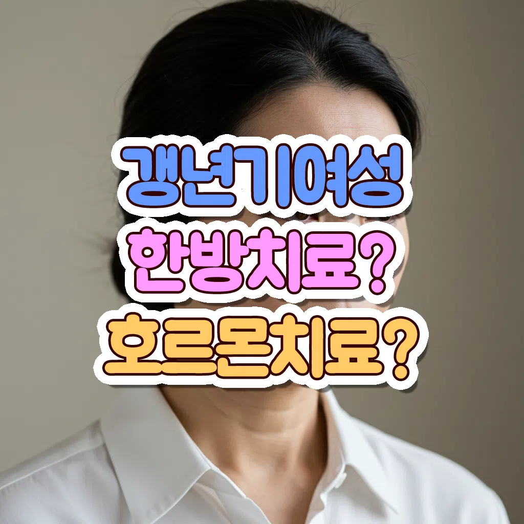 갱년기 여성 한방치료? 호르몬치료?